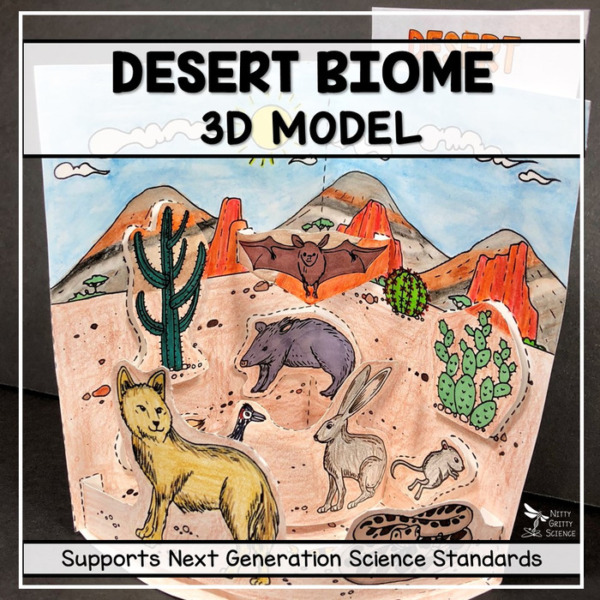 Desert Biome Model – 3D Model – Biome Project