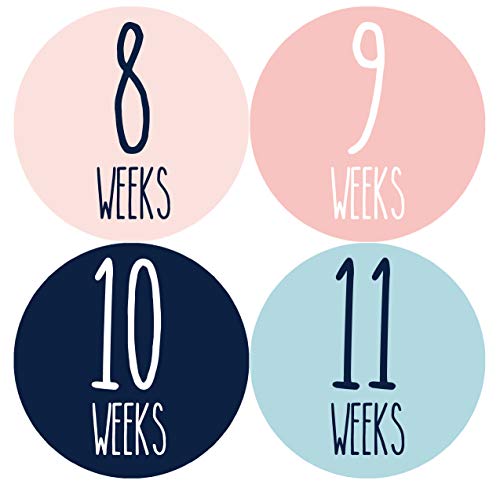 Months In Motion Weekly Pregnancy Growth Stickers | Week to Week Pregnant Expecting Photo Prop | Maternity Keepsake | Baby Bump | Weekly Stickers (Set of 36 Stickers)
