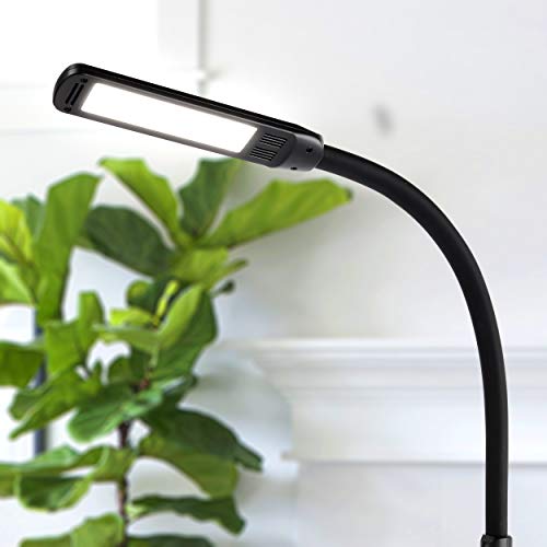 Brightech Vista 3-in-1 Desk Lamp for Living Rooms, LED Floor Lamp, Tall Lamp with Remote Control, Work Light for Documents, Standing Lamp with Flexible & Adjustable Gooseneck for Reading and Crafts | The Storepaperoomates Retail Market - Fast Affordable Shopping