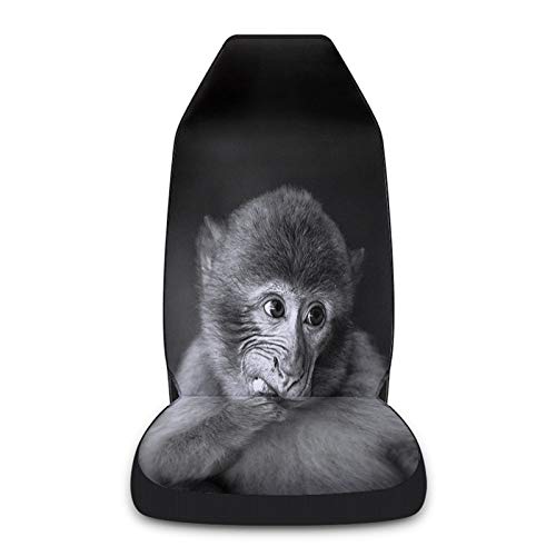 Cloud Dream Home Car Seat Covers Funny Monkey Animal Front Seat Cover Protectors Grey Universal Fit for Car/Truck/Van/Dog SUV,Perfect for Women Kids Baby,Machine Washable, 2 PCS