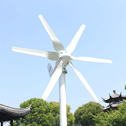 NINILADY 600W 500W 400W Wind Turbine 12v 24v 48v Horizontal Axies Wind Generator with MPPT Controller for Home Use Free Energy (24V, 600W)