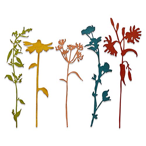 Sizzix Thinlits Die 665221 Wildflower Stems #3 by Tim Holtz 5 Pack, Multicolor
