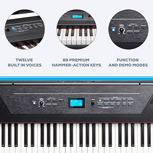 Alesis Recital Pro | Digital Piano/Keyboard & RockJam Xfinity Heavy-Duty, Double-X, Pre-Assembled, Infinitely Adjustable Piano Keyboard Stand with Locking Straps | The Storepaperoomates Retail Market - Fast Affordable Shopping