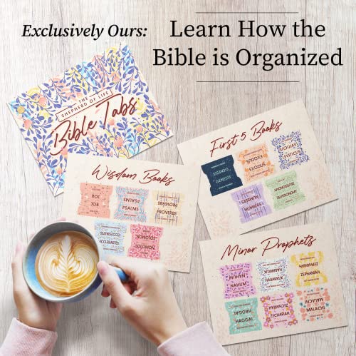 Bible Tabs Soft Pastel – Soul Nourishing Book Summaries – 66 Peel-and-Stick SilkTouch Laminated Bible Tabs Large Print | Bible Tabs for Women, Bible Tabs for Study Bible, Bible Book Tabs | The Storepaperoomates Retail Market - Fast Affordable Shopping