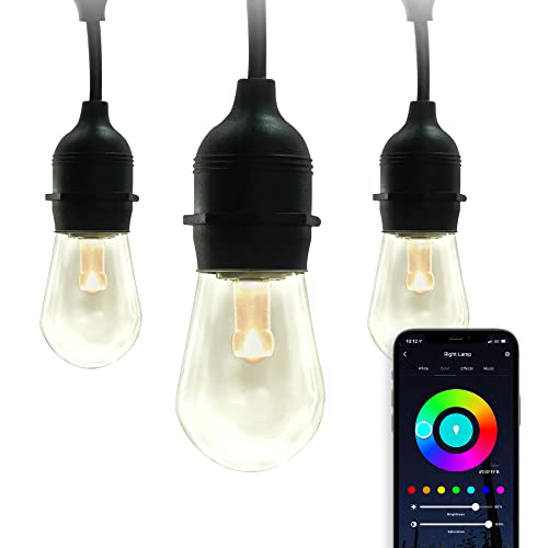 Satco S11272 Starfish 24-Foot WiFi Smart LED Color-Changing Indoor/Outdoor String Lights, Works with Siri, Alexa, Google Assistant, SmartThings, 10 Watt, 260 Lumens, 2700K-5000K , Black