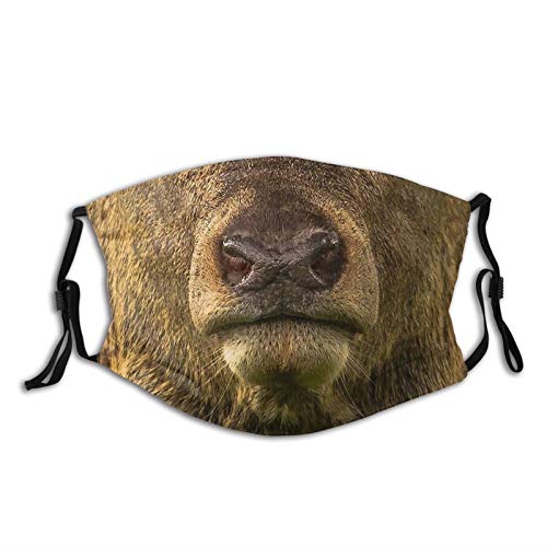 Animal Face Mask,Deer Mouth Face Mask Unisex Balaclava Washable Reusable Cloth Fashion Scarf