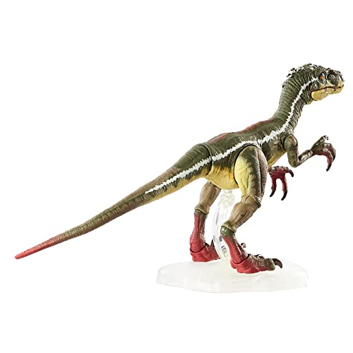 Jurassic World Toys Amber Collection Velociraptor | The Storepaperoomates Retail Market - Fast Affordable Shopping