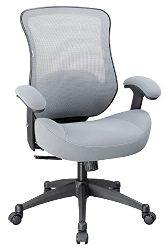 LONGBOSS Office Chair Ergonomic Computer Desk Mesh Chair, Back Waist Cushion and Height Adjustable Armrest – Gry