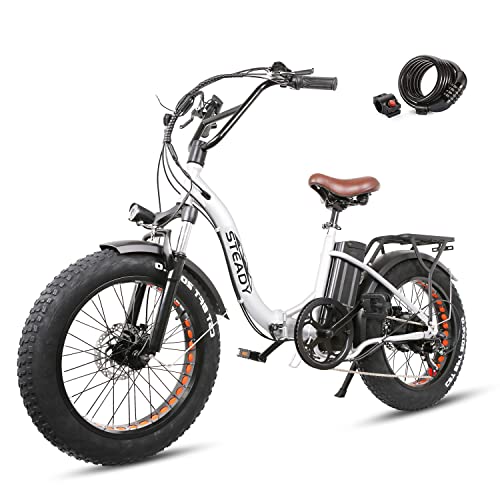20″ Electric Bikes for Adults, Dual Disc Brake Electric Mountain Bike, 500W Motor Electric Bicycle &48V 12AH Removable Lithium Battery Ebike