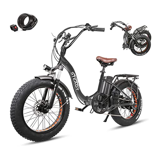 20″ Electric Bikes for Adults, Dual Disc Brake Electric Mountain Bike, 500W Motor Electric Bicycle &48V 12AH Removable Lithium Battery Ebike