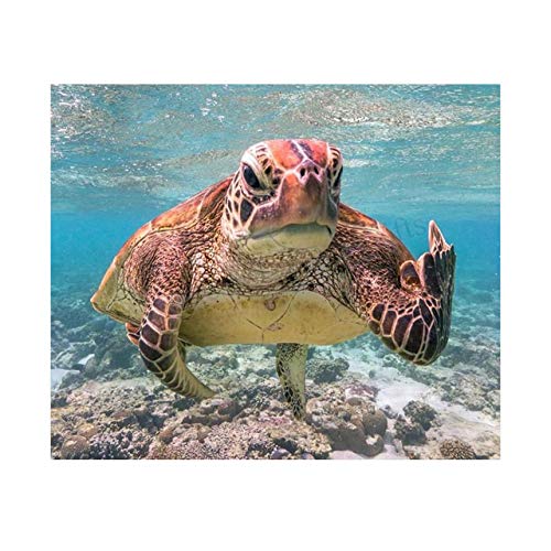 Sea Turtle Swimming In Ocean-Coral Reef -10×8″ Colorful Marine Wall Art Print-Ready to Frame. Beach Decor for Home-Office-Studio-Beach House. Perfect for Coastal & Nautical Themes! Great Gift!