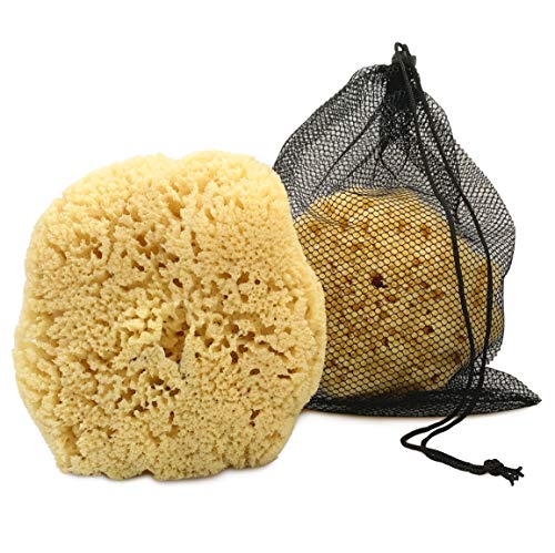 Real Sea Sponge for Men – Extra Large 6″-7″, Totally Natural, Kind on Skin for an Invigorating Shower, Supplied in Breathable Mesh Bag. Great for The Gym, Grooming, Bath & Body Gift by Constantia Man
