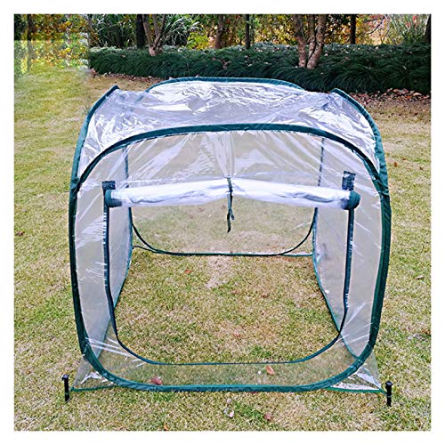 Baiying During The Winter, When Plants Warm Up, Pop-up Propagator, No Assembly Required, for Rain/Snow/Wind (Color : Clear, Size : 98x98x98cm)