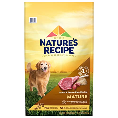 Nature’s Recipe Mature Dry Dog Food, Lamb & Rice Recipe, 24 Pound Bag