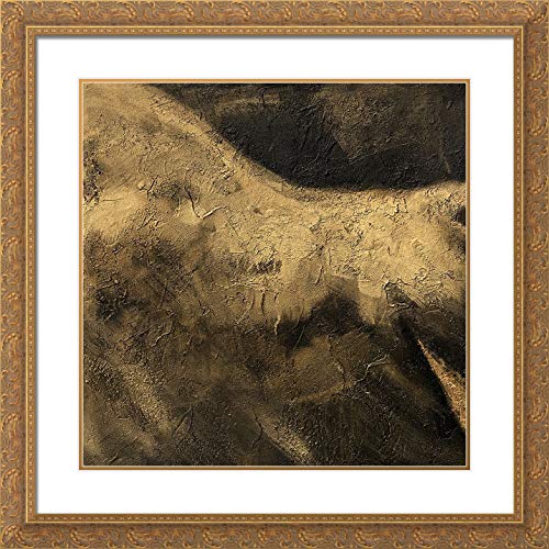 Panasenko, Inna 28×28 Large Gold Ornate Frame and Double Matted Museum Art Print Titled Toros VI