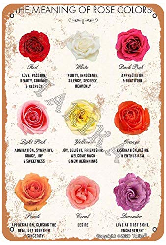 The Meaning of Rose Colors Iron 20X30 cm Vintage Look Decoration Crafts Sign for Home Kitchen Bathroom Farm Garden Garage Inspirational Quotes Wall Decor