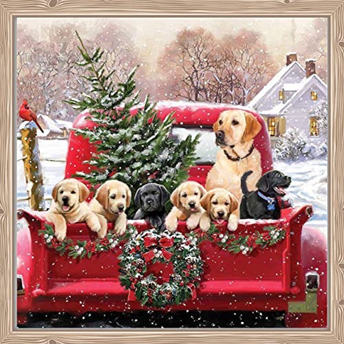 Diamond Painting Kits for Adults , DIY 5D Full Drill Crystal Rhinestone Embroidery Pictures Art Craft for Relaxation and Home Wall Decor 15.8 x 15.8 Inches-Christmas Diamond Painting Dog
