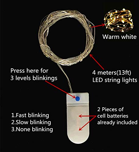Uzergifts 12 Packs LED Fairy Lights CR2032 Battery Operated String Wire Christmas Light,3.3Ft(1 Meters) 10 LED Firefly Starry Moon Lights for Birthday Wedding Party Bedroom Patio(Warm White) (3.3) | The Storepaperoomates Retail Market - Fast Affordable Shopping