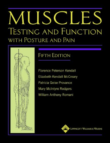 Muscles: Testing and Testing and Function with Posture and Pain (Kendall, Muscles)