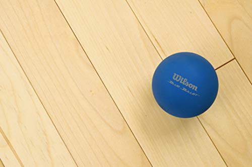 Wilson Blue Bullet Racket balls “3 Balls per Can” | The Storepaperoomates Retail Market - Fast Affordable Shopping