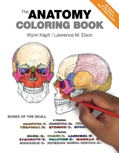 The Anatomy Coloring Book | The Storepaperoomates Retail Market - Fast Affordable Shopping