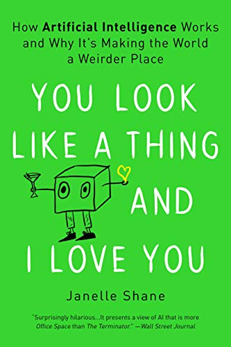 You Look Like a Thing and I Love You: How Artificial Intelligence Works and Why It’s Making the World a Weirder Place
