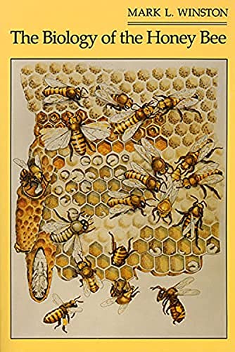The Biology of the Honey Bee | The Storepaperoomates Retail Market - Fast Affordable Shopping