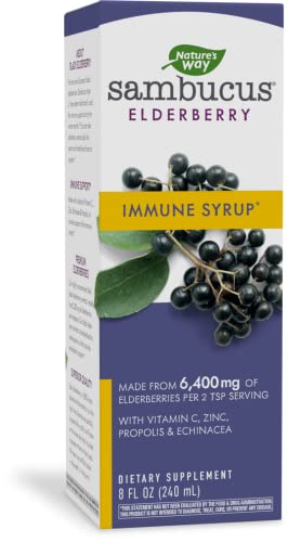 Nature’s Way Sambucus Immune Elderberry Syrup with Vitamin C, Echinacea, & Zinc, Immune Support*, 8 Fl Oz (Pack of 1)
