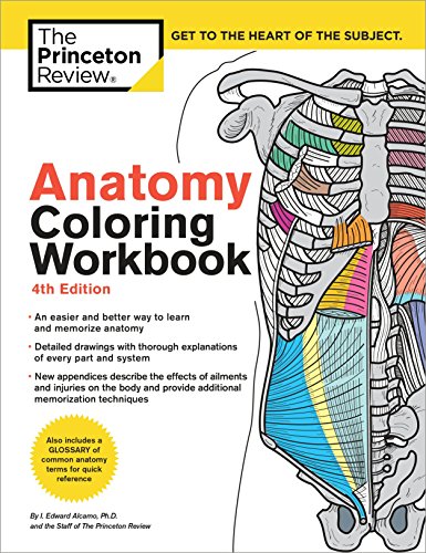 Anatomy Coloring Workbook, 4th Edition: An Easier and Better Way to Learn Anatomy | The Storepaperoomates Retail Market - Fast Affordable Shopping