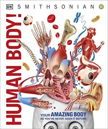 Knowledge Encyclopedia Human Body! (DK Knowledge Encyclopedias)
