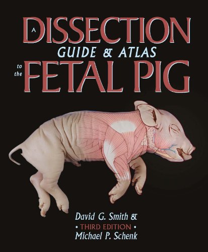 A Dissection Guide and Atlas to the Fetal Pig