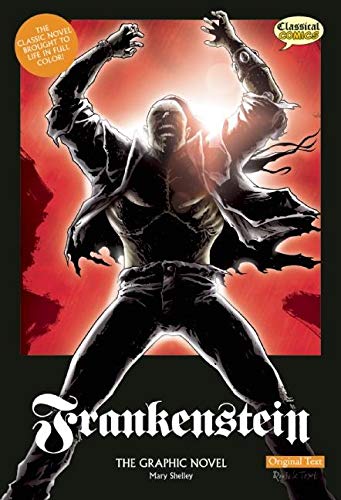 Frankenstein: The Graphic Novel (American English, Original Text)