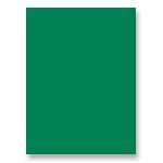 Tru-Ray Heavyweight Construction Paper, Holiday Green, 9″ x 12″, 50 Sheets