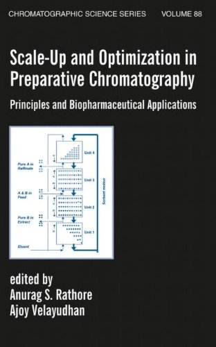 Scale-Up and Optimization in Preparative Chromatography: Principles and Biopharmaceutical Applications (Chromatographic Science)