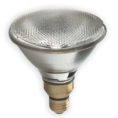 GE Lighting 17979 50 Watt Outdoor Halogen Floodlight PAR38 Light Bulb
