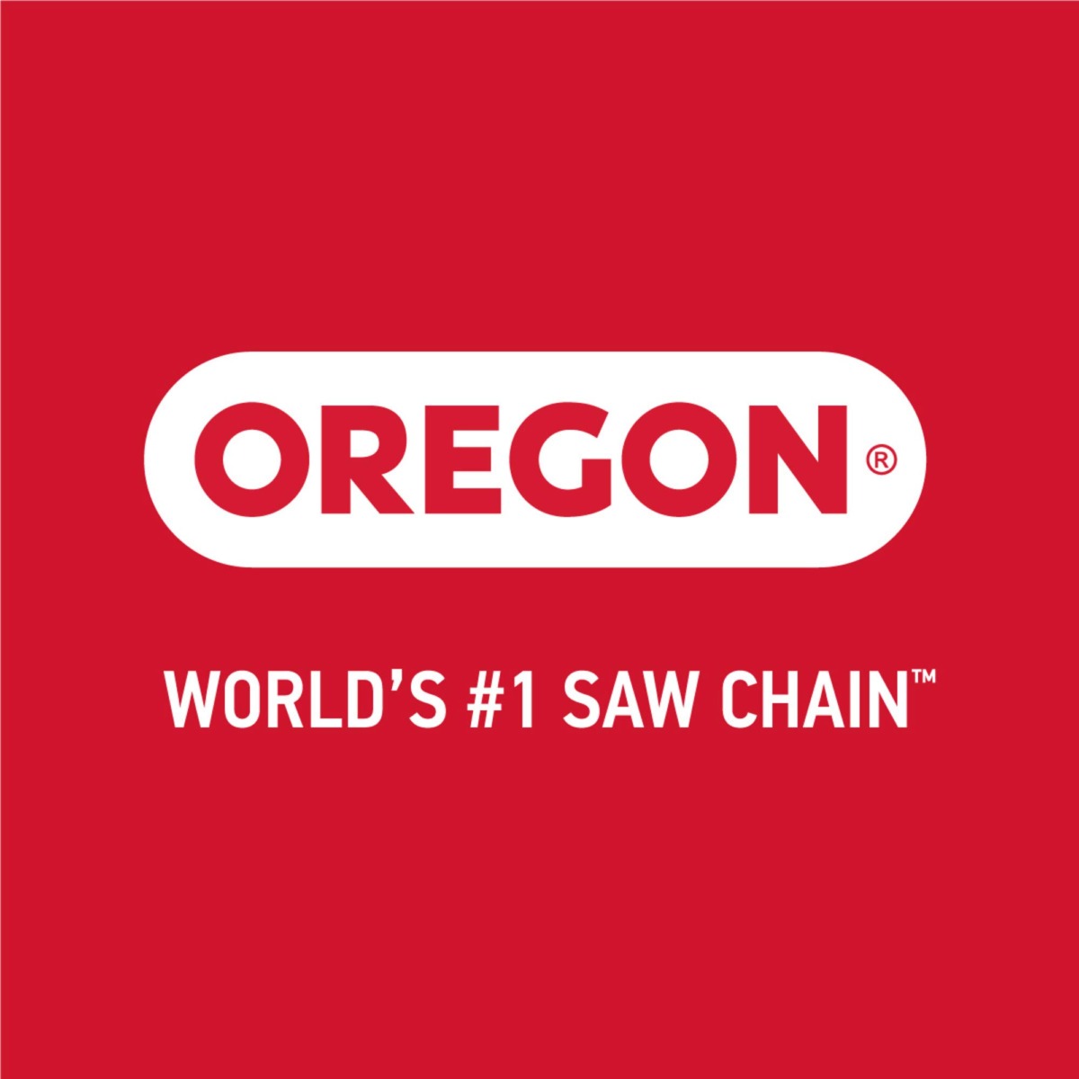 Oregon S49 AdvanceCut Replacement Chainsaw Chain for 14-Inch Guide Bar, 49 Drive Links, Pitch: 3/8″ Low Vibration, .050″ Gauge, Fits Craftsman, Poulan, and More | The Storepaperoomates Retail Market - Fast Affordable Shopping