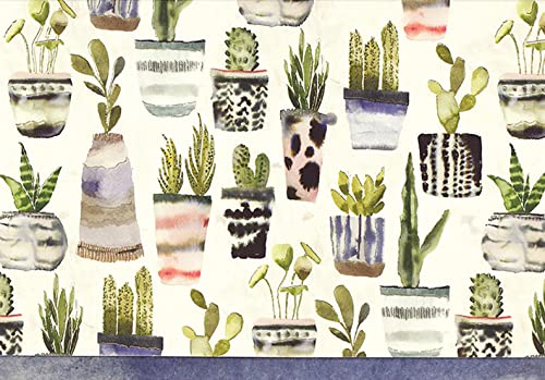 Watercolor Succulents Note Cards (Stationery, Boxed Cards)