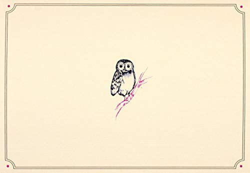 Owl Portrait Note Cards (Stationery, Boxed Cards)