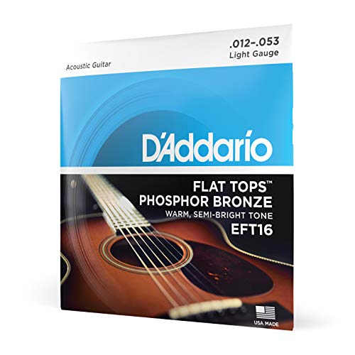 D’Addario Guitar Strings – Acoustic Guitar Strings – Flat Tops Phosphor Bronze – For 6 String Guitar – Warm, Semi-Bright Tone – EFT16 – Light, 12-53