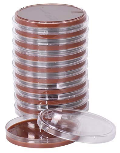 Chocolate Agar, (GC Agar Base with 1 Percent Bovine Hemoglobin and Koenzyme Supplements), for Fastidious Bacteria, 15x100mm Plate, Order by The Package of 10 Plates, by Hardy Diagnostics
