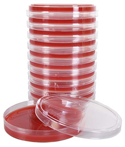 Blood Agar Plate, 5% Sheep Blood in Tryptic Soy Agar (TSA) Base, EH (Enhanced Hemolysis), 15x100mm Plate, Order by The Package of 10, by Hardy Diagnostics