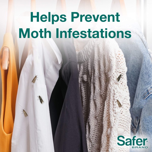 Safer Brand 07270 Clothes Moth Alert Trap