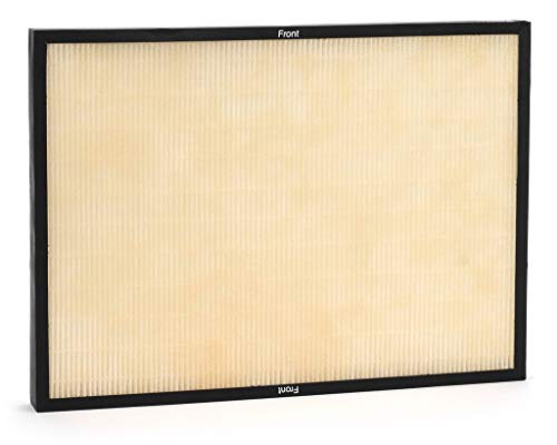 RabbitAir Genuine Classic BioGS HEPA Filter Replacement (for: SPA-421A & SPA-582A)