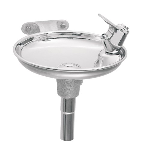 Haws 1152 Polished Stainless Steel Wall Mounted Drinking Fountain with Round Bowl