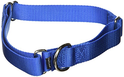 PetSafe Martingale Collar, 1″ Large, Royal Blue