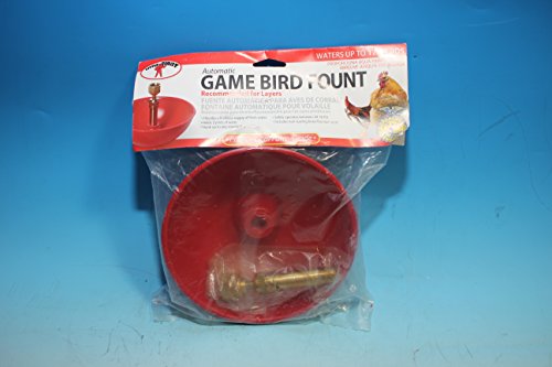 Little Giant Game Bird Automatic Poultry Fount (2 Pint) Heavy Duty Plastic Waterer Bowl with Hose Attachment (Item No. 2500)