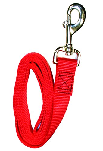 Petmate Aspen PET Products 15006 Nylon Leash, 4-Feet by 5/8-Inch, Red