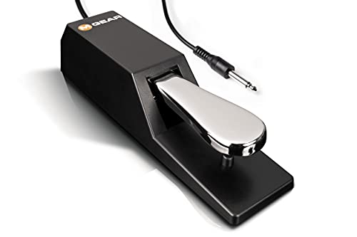 M-Audio SP-2 – Universal Sustain Pedal with Piano Style Action For MIDI Keyboards, Digital Pianos & More
