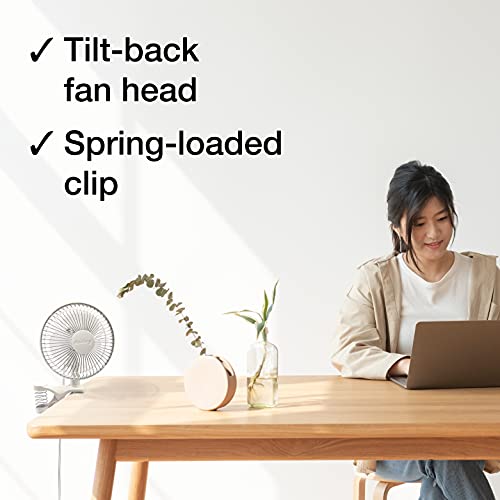 Air King Clip Fan, 6 inch, White | The Storepaperoomates Retail Market - Fast Affordable Shopping