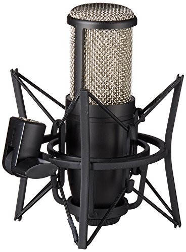 AKG Pro Audio Pro Audio Perception 220 Professional Studio Microphone, Silver Blue